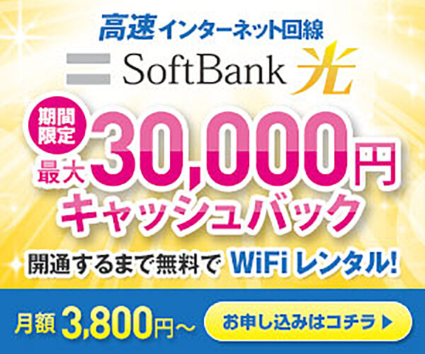 ソフトバンク 光（ファミリータイプ）